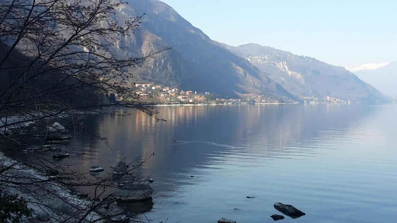 New Eleven Apartment On Como Lake Oliveto Lario ภายนอก รูปภาพ